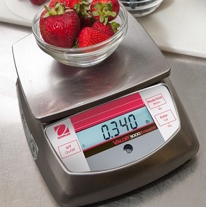 33.1-Food-Scale1